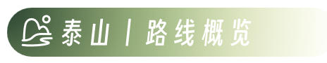 图片[5]-山高我为峰——泰山冠军赛团建-沐风体验