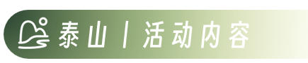 图片[9]-山高我为峰——泰山冠军赛团建-沐风体验