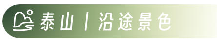 图片[23]-山高我为峰——泰山冠军赛团建-沐风体验