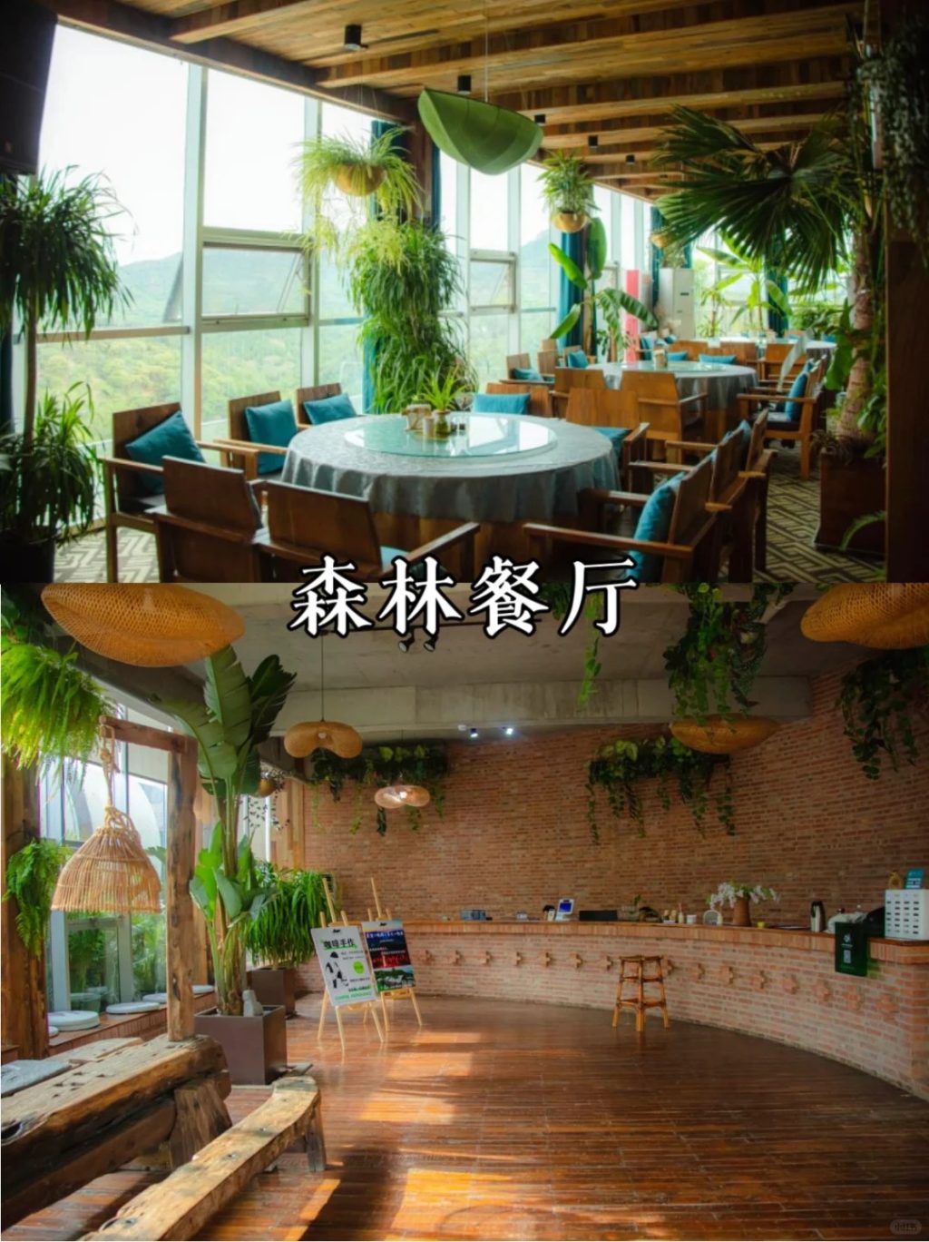 图片[9]-济南·若谷山居-沐风体验